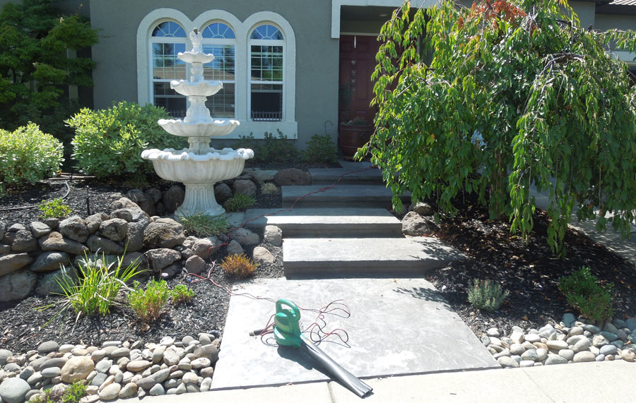 Twenty Five Examples of Low- and No-water front lawns