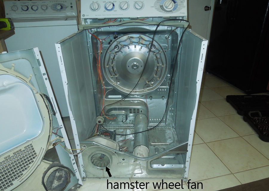 Hamster Wheel Fan