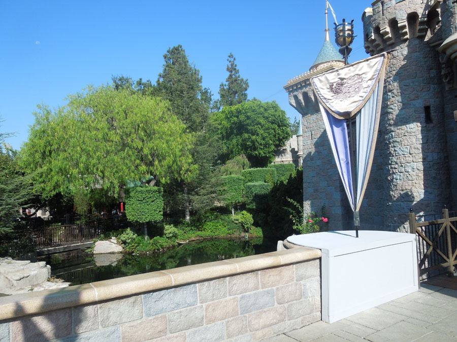 Disneyland Castle Picture