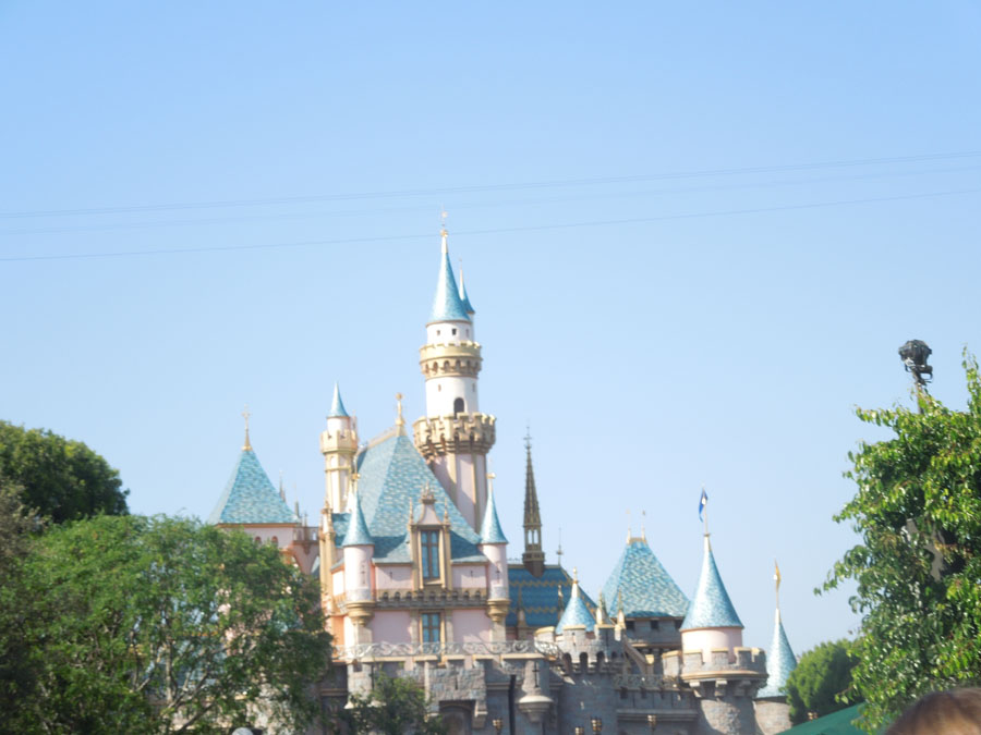 Disneyland Castle Picture