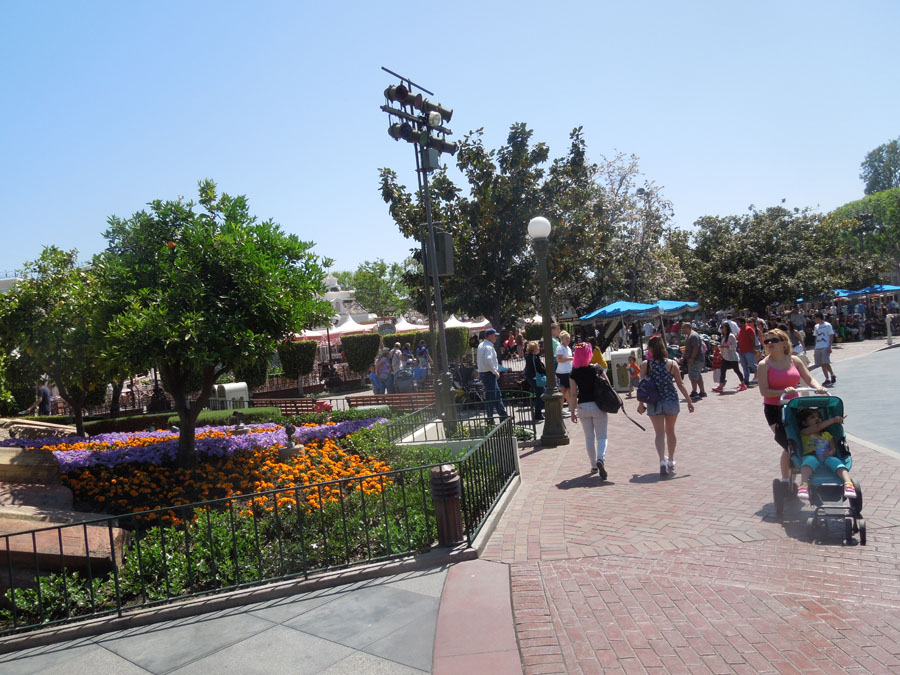 Disneyland Center Circle Picture