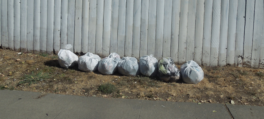 Trash Bags at Curbside