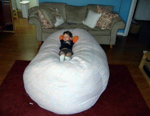 Titan - Suede Bean Bag Chair