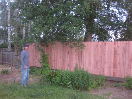 50 Good and Bad Fence Ideas