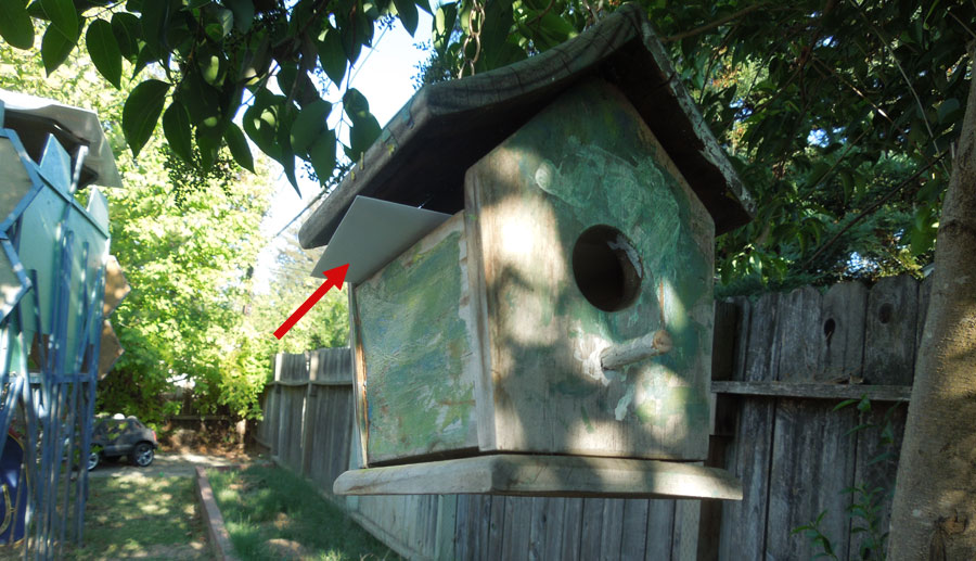 Birdhouse Treasure Clue