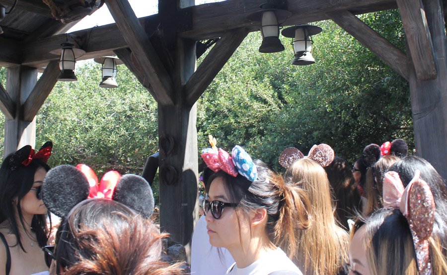 Disneyland Mouse Ears