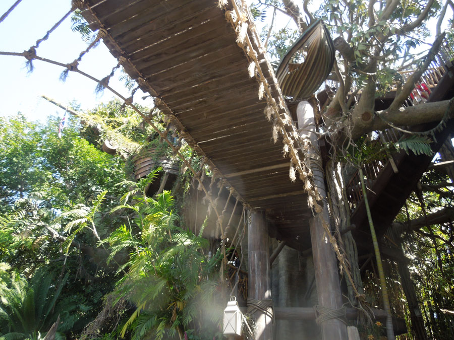 Disneyland Tarzan's Treehouse Picture