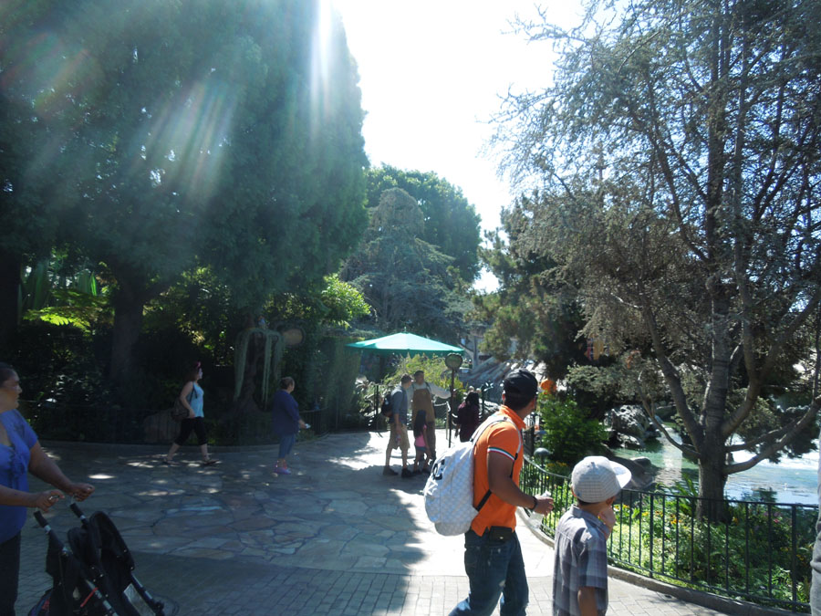 Disneyland Pixie Hollow Picture