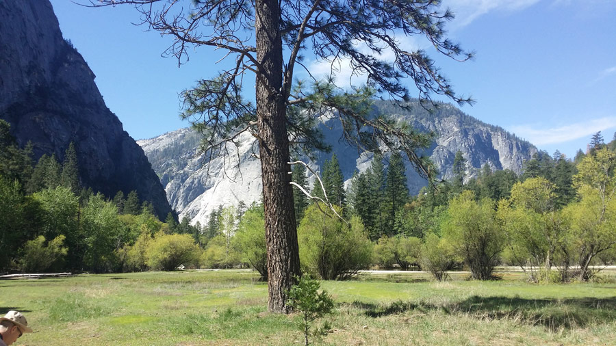 Yosemite National Park